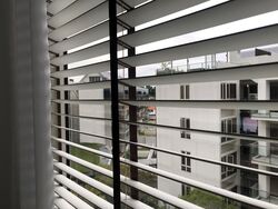 Flamingo Valley (D15), Condominium #556976251